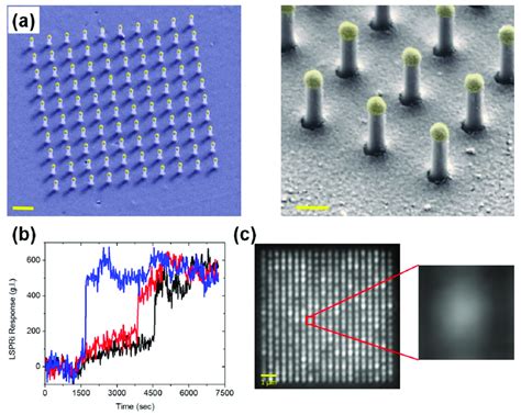 Application Of Plasmonic Nanopillars To High Performance LSPR Imaging