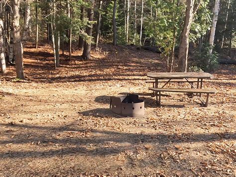 Rock Lake Campground, Site #101 in Algonquin Park