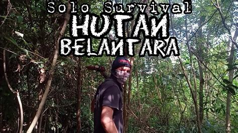 Solo Camping Di Tengah Hutan Membuat Shelter Secangkir Teh Panas