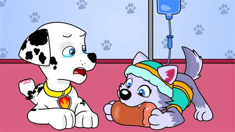 Undo Paw Patrol Marshall X Everest Hospital Moment 💔 Sad Song Youtube