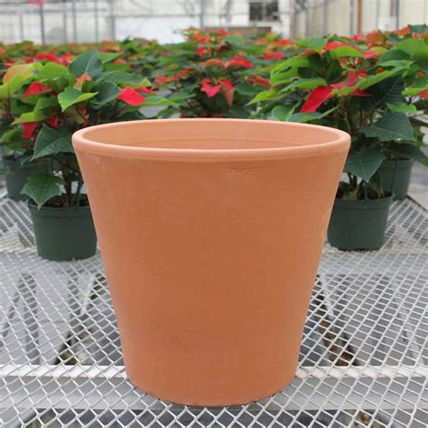 Vaso Cono Terracotta Pot White Garden The Nunhead Gardener