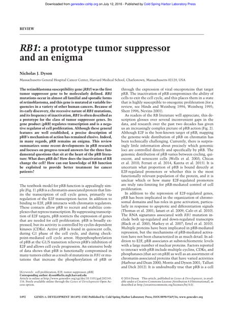 (PDF) RB1: A prototype tumor suppressor and an enigma