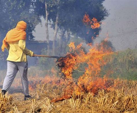 Nasa Imagery Shows Early Stubble Burning In Punjab And Haryana