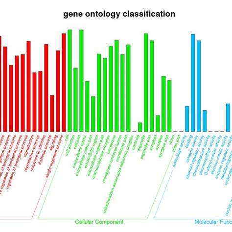 Histogram Presentation Of Gene Ontology Go Classification In Scapharca Download Scientific