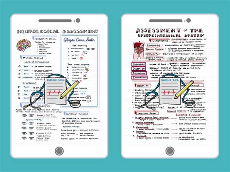 Health Assessment Bundle Nursing School Notes To Help Pass Nclex Rn