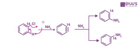 Nucleophilic Aromatic Substitution Introduction Conditions Examples