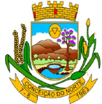 Bras O Do Concei O Do Tocantins Coat Of Arms Crest Of Concei O Do