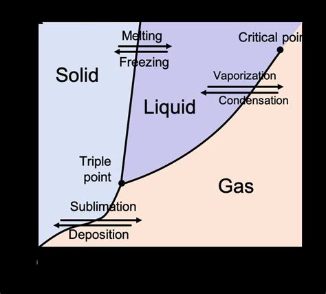 Exploring The Phases Of A Pure Substance Visualizing Its Phase Diagram