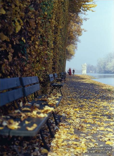 My beloved Warsaw Wilanów Park Promenada w parku w Wilanowie obok