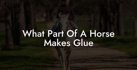 What Part Of A Horse Makes Glue How To Own A Horse