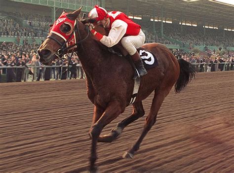 Seabiscuit from Famous TV and Movie Horses | E! News