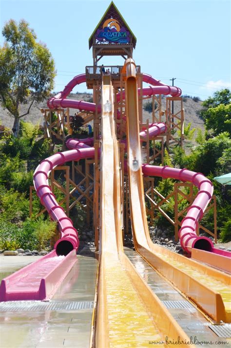 Family Waterpark Fun at Aquatica San Diego - Brie Brie Blooms