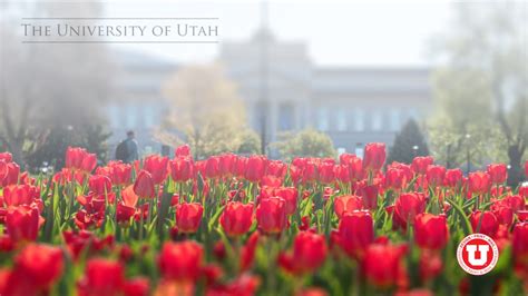 Spring-themed Zoom backgrounds – @theU