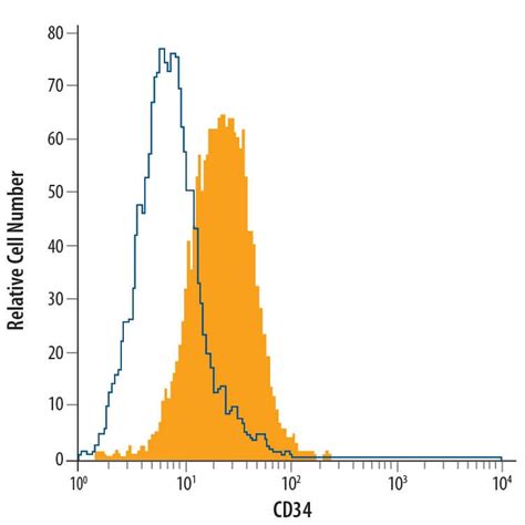 Cd Antibody Alexa Fluor Fab G Novus Biologicals