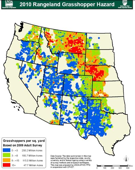 2010 Grasshopper Infestation - Montana Fly Fishing Guides