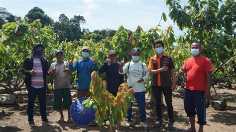 Indonesia Miner : Berau Coal's Two CSR Programs Wins Gold in the Public ...