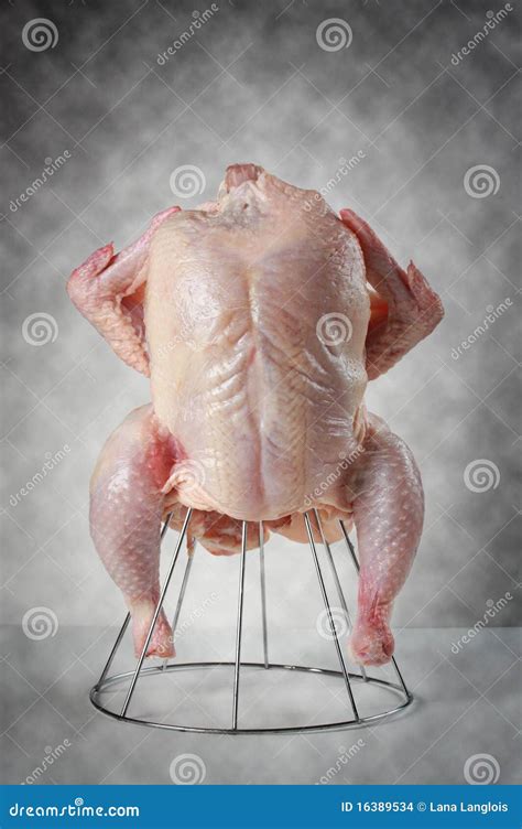 Fresh Uncooked Chicken Stock Images - Image: 16389534