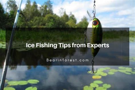 Ice Fishing Tips from Experts - Bearinforest