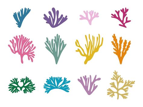 Colored seaweed set. Marine plant elements. Cartoon vector illustration ...