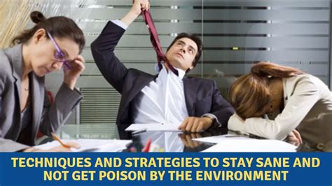 Toxic Work Environment Is Common How To Identify And Stay Sane