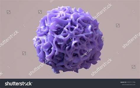 Macrophage Devouring Cancer Cell Immune Cells Stock Illustration