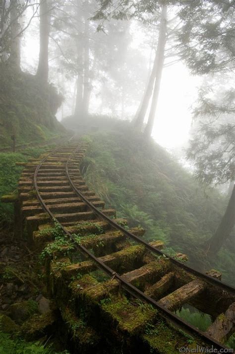 Abandoned train tracks : r/pics