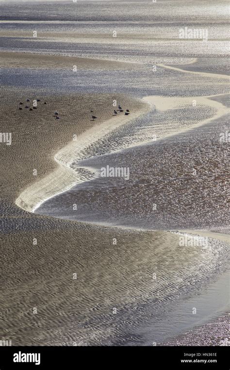 Low Tide On The Severn Estuary Stock Photo Alamy