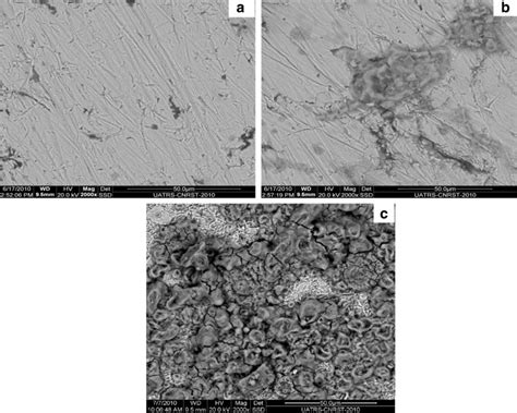 Sem Micrographs Of The Mild Steel Surface A Metallic Surface After