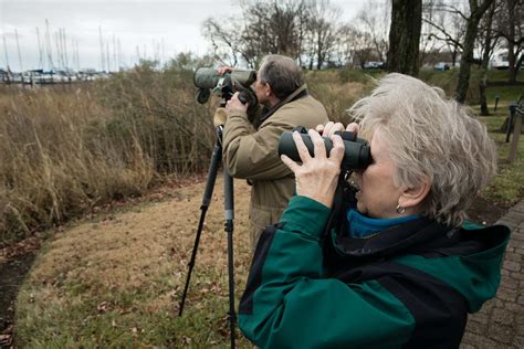 When birds go roaming: The mystery of avian irruptions