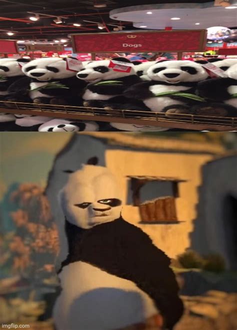 Pandas Memes Gifs Imgflip