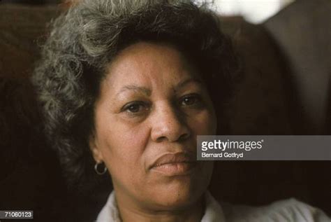 Portrait Of Toni Morrison Photos And Premium High Res Pictures Getty