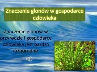 Znaczenie Glon W W Gospodarce Cz Owieka Ppt