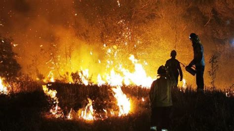 Casi 60 Mil Hectáreas Arrasadas Por Los Incendios Forestales En España