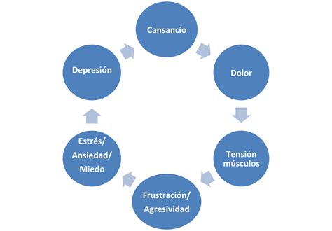 Loops O Ciclos Emocionales Destructivos Emocionaligencia Off