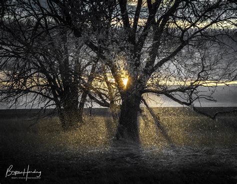 Winter Scene Colorado Winter Colorado Photography Front - Etsy