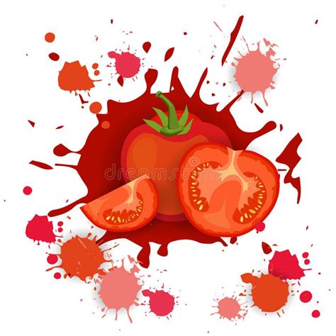 Logotipo do tomate ilustração do vetor Ilustração de jardim 60285928