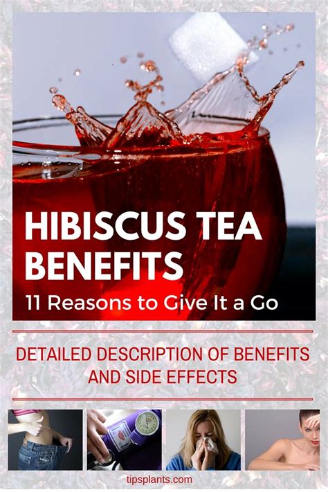 Hibiscus Tea Benefits 11 Reasons To Give It A Go All You Need To Know About Health