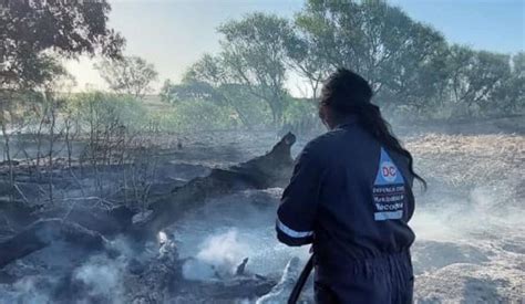 Incendio En Cercan As De Las Cascadas El Fuego Consumi Al Menos