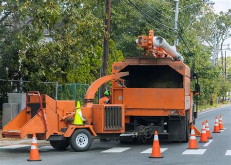 Tree Root Removal Montgomery | Tree Root Removal Services