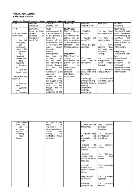 Nursing Management A Nursing Care Plan Pdf Weakness Anemia