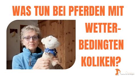 Wetterbedingte Kolik Beim Pferd YouTube