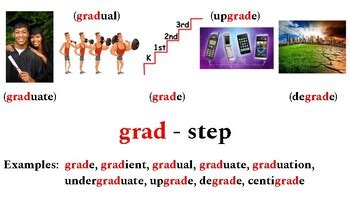 Greek Latin Root Word Grad Step By Mini S Market TPT