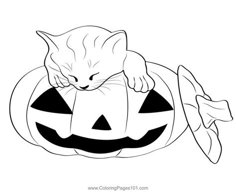 Cat over Pumpkin Coloring Page