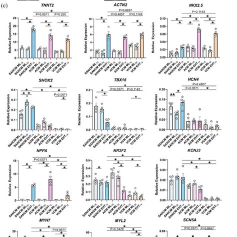 Generation And Characterization Of Subtype Specific Engineered Heart