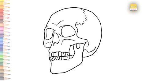 Easy Human Skull Drawing