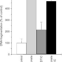 Apoptosis Of Melanoma Cells After Pamidronate Treatment A375 M186