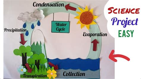 Water Cycle Science Project Water Cycle Science Model Science TLM