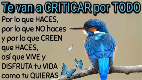🦋te Van A Criticar Por Todoasí Que Vive Y Disfruta Tu Vida Como Tu