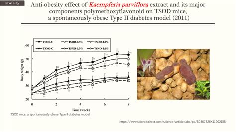 Food As Medicine Black Ginger Kaempferia Parviflora PPT