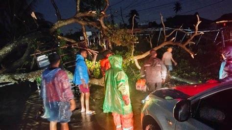 Cuaca Buruk Landa Kota Padang Pohon Tumbang Hambat Akses Jalan Dan